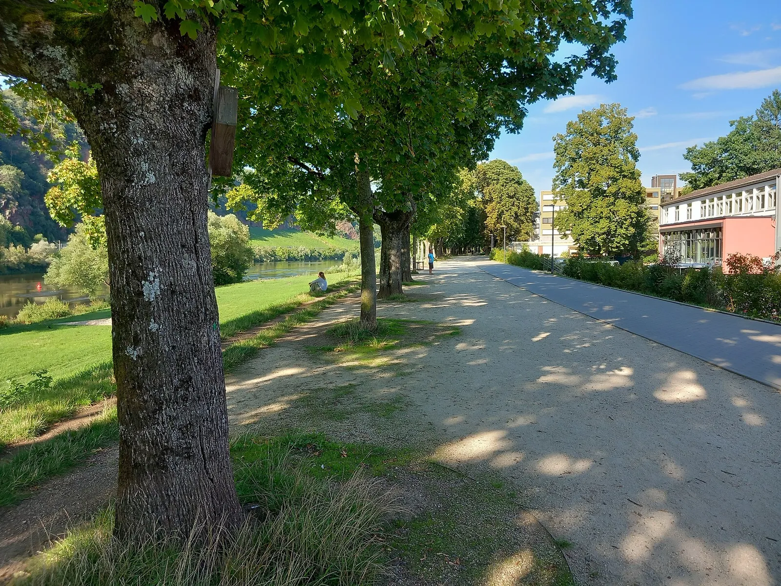 Promenade am Moselufer in Trier