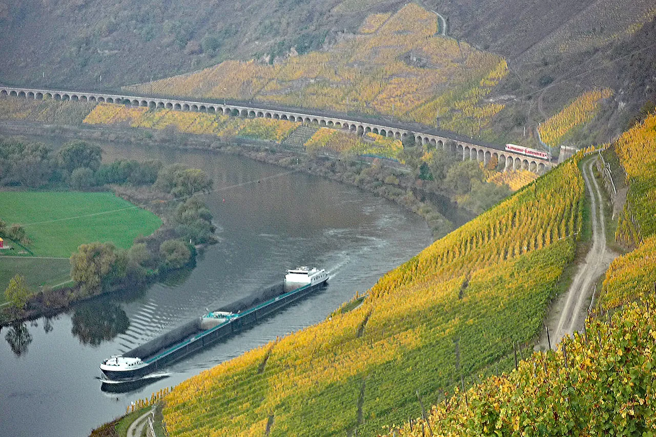 Weinberge und Bahnstrecke entlang der Mosel bei Pünderich