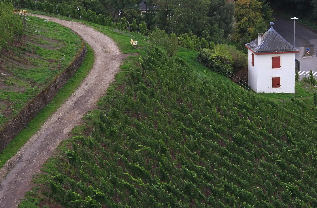 Historisches Weinbergshäuschen in den Weinbergen von Trier-Olewig